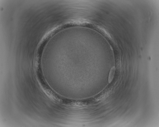 X0000081570736200701151211