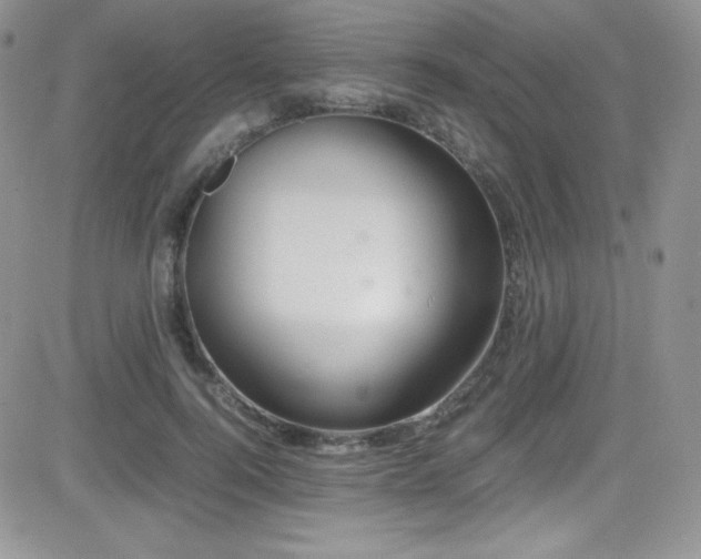 X0000081570744200701151211