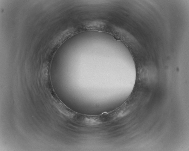 X0000081570753200701151211
