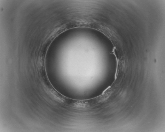 X0000081570756200701151211