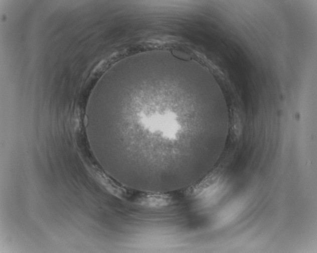 X0000081570758200701151212