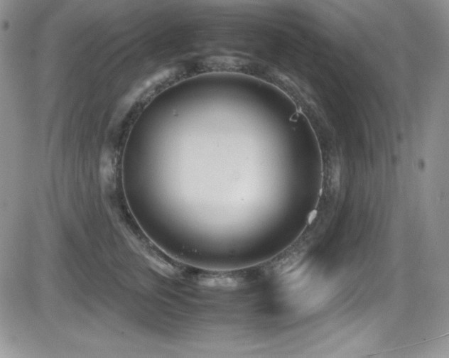 X0000081570759200701151212