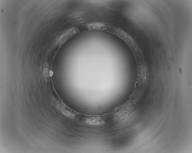 X0000081570761200701151212