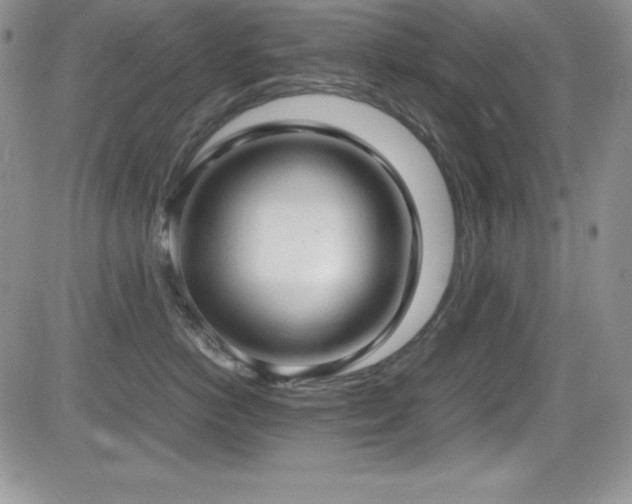 X0000081570766200701151212