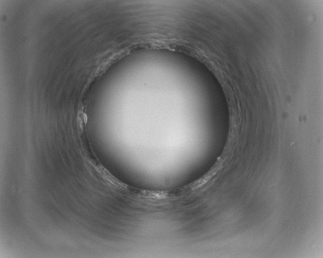 X0000081570768200701151212
