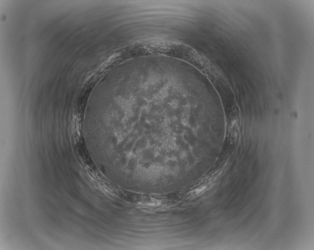 X0000081570772200701151211