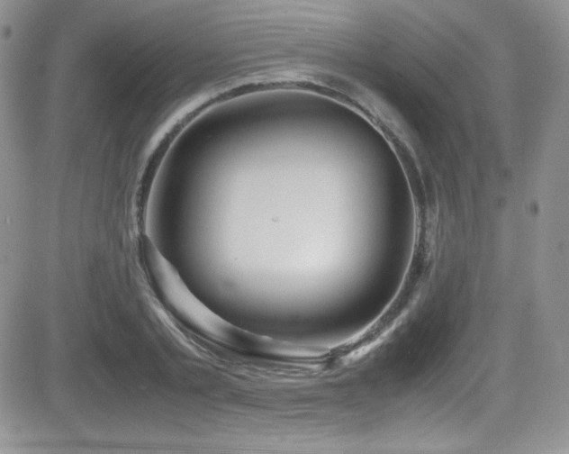 X0000081570789200701151211