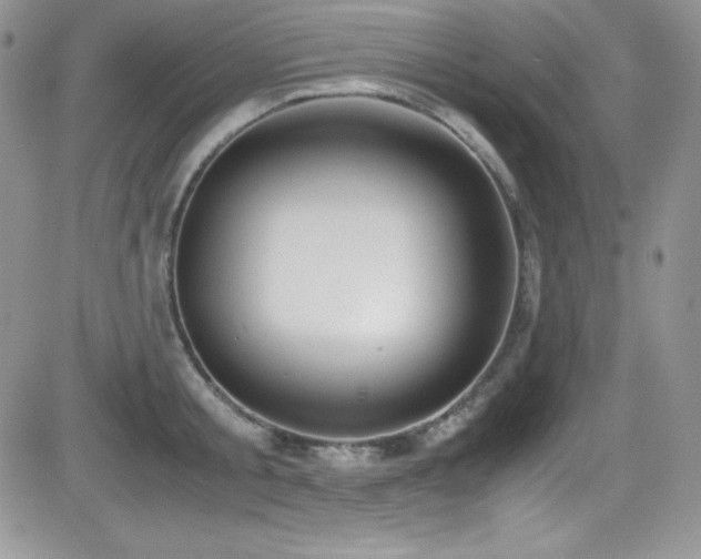 X0000081570805200701151210