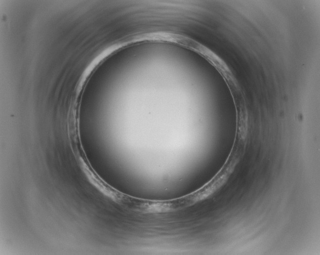 X0000081570808200701151210