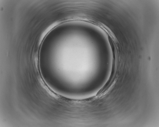 X0000081570812200701151210