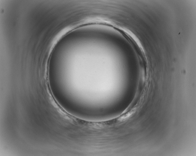 X0000081570815200701151210