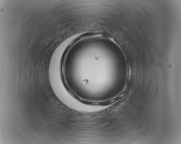 X0000081570818200701151209