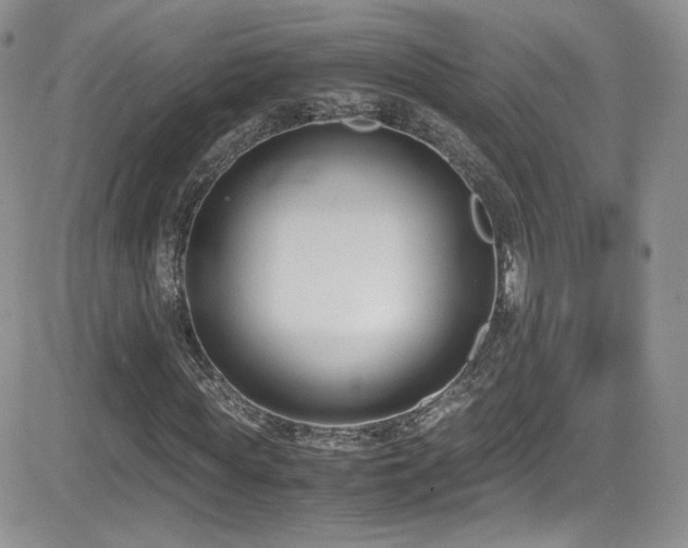 X0000081570819200701151209
