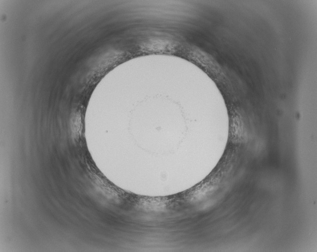 X0000081570820200701151209