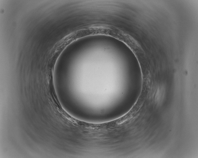 X0000081570821200701151209