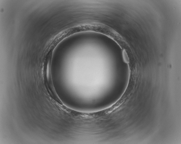 X0000081570822200701151209