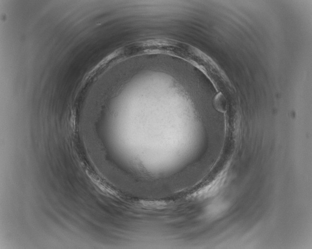 X0000081570825200701151209
