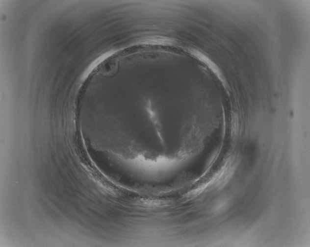 X0000081570829200701151210