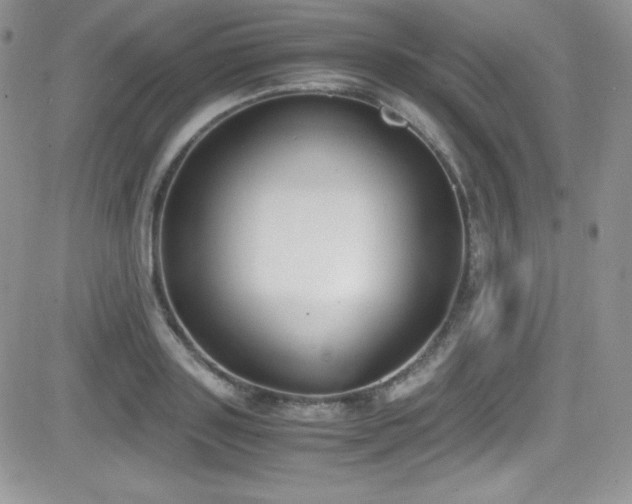 X0000081570843200701151210