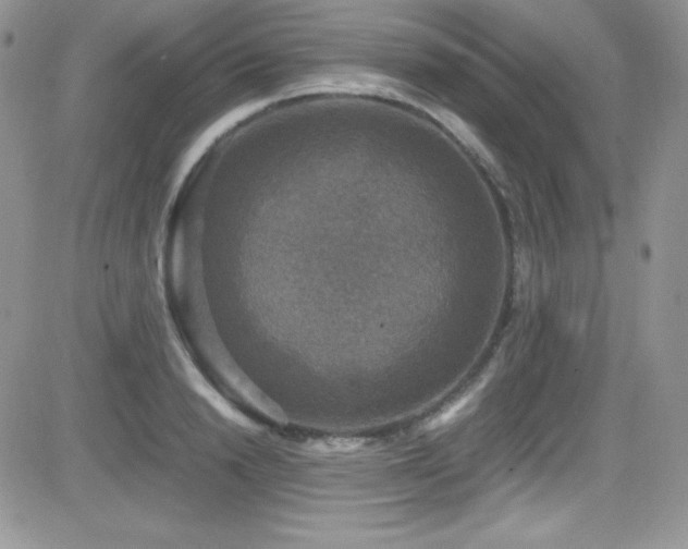 X0000081570846200701151210