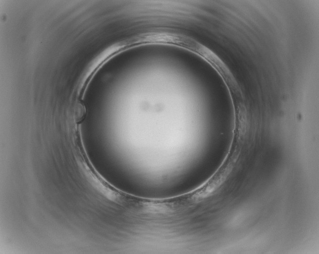 X0000081570852200701151210