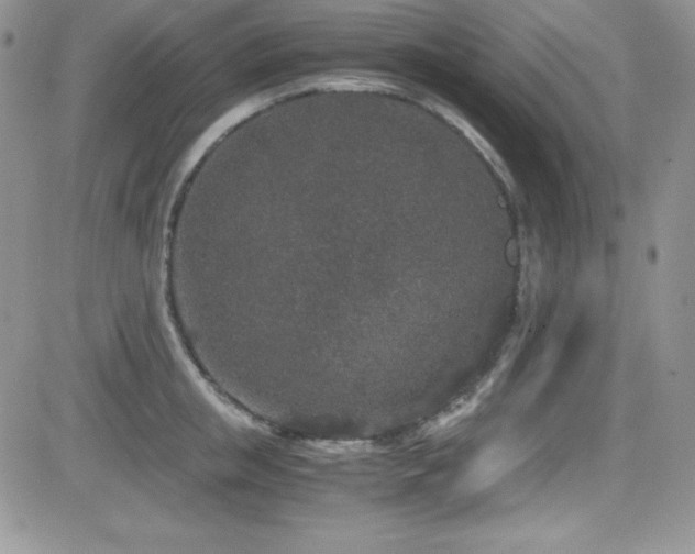 X0000081570853200701151210