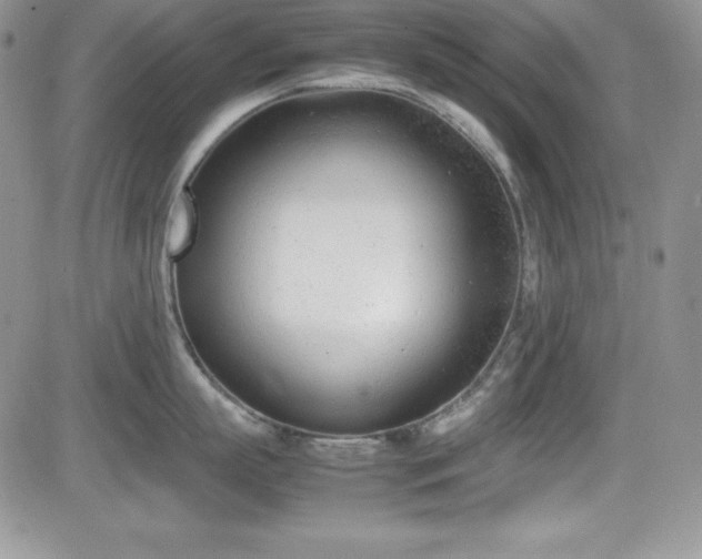 X0000081570863200701151210