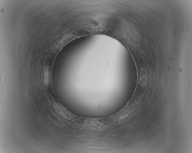 X0000081570866200701151209