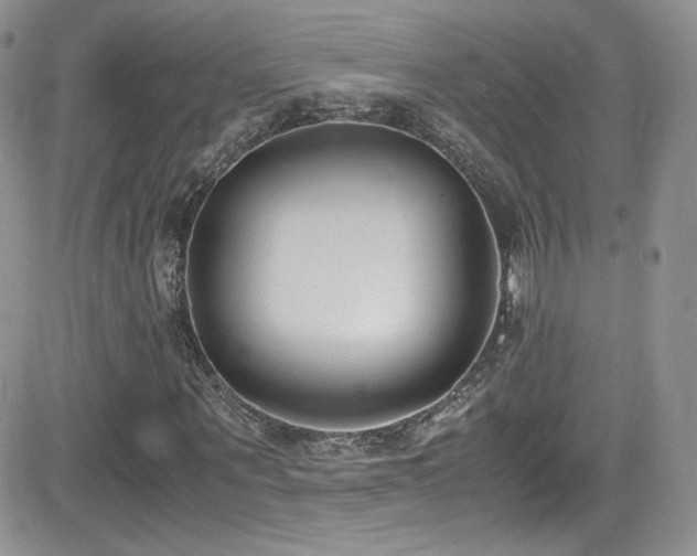 X0000081570867200701151209
