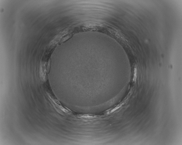 X0000081570868200701151209