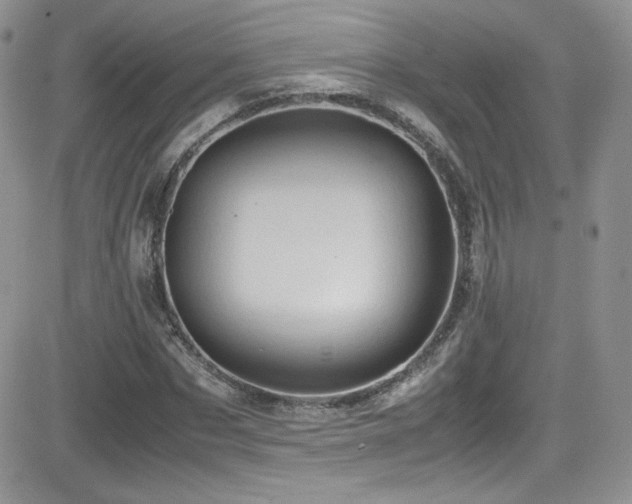 X0000081570873200701151209