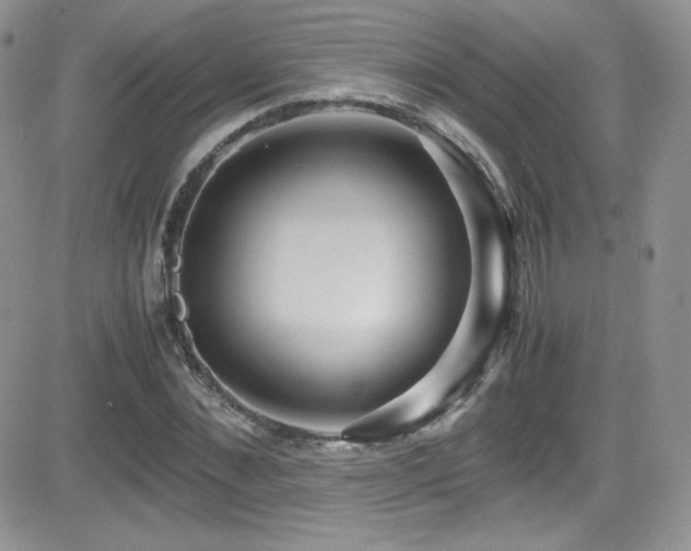 X0000081570876200701151209