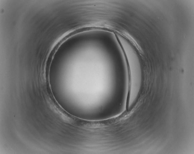 X0000081570884200701151209