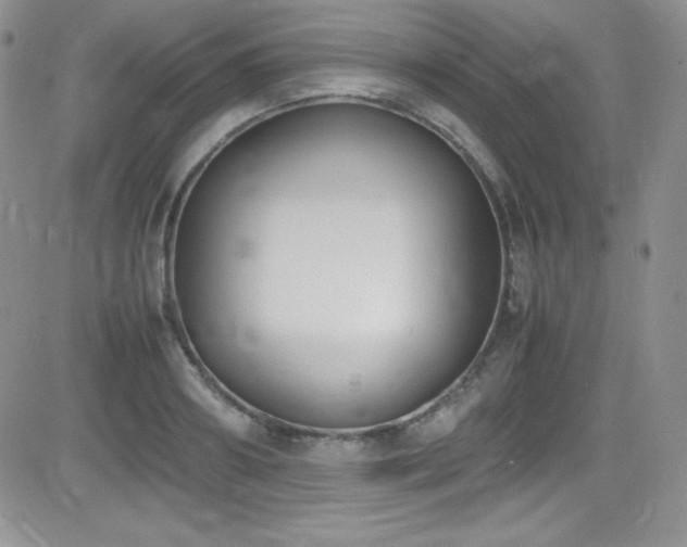 X0000081570890200701151209