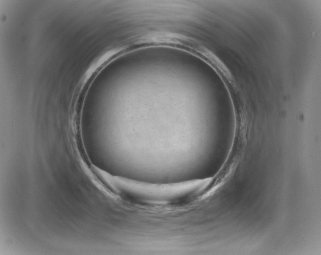 X0000081570893200701151209