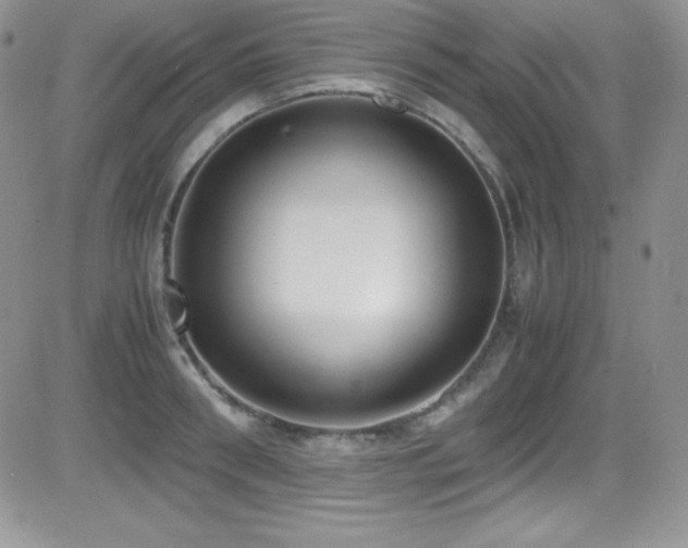 X0000081570898200701151209