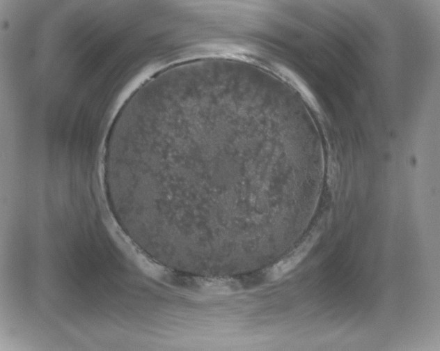 X0000081570899200701151209