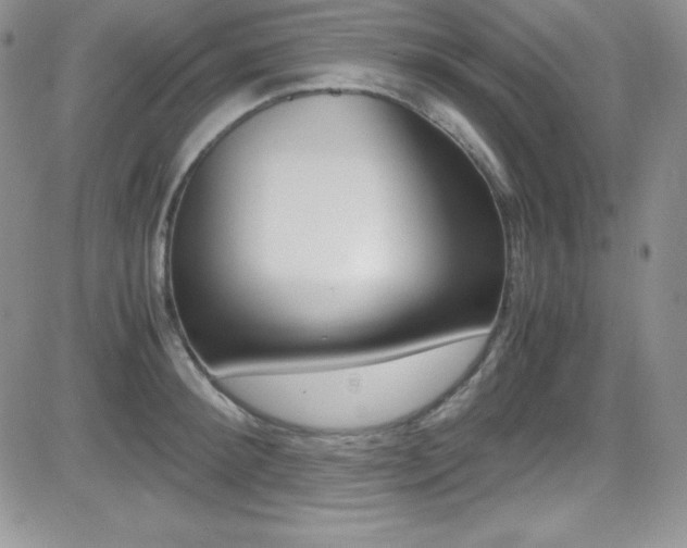 X0000081570900200701151209