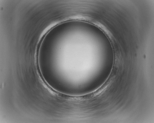 X0000081570902200701151209