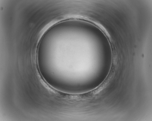 X0000081570903200701151209