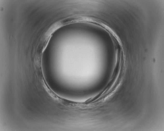X0000081570905200701151209