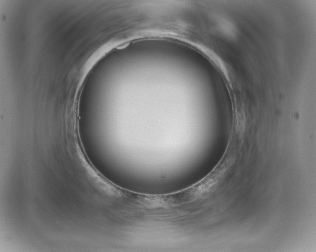 X0000081570911200701151209