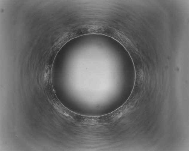 X0000081570914200701151208
