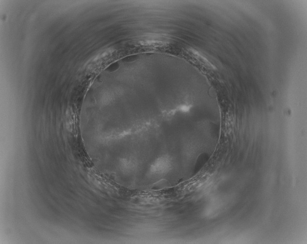 X0000081570917200701151208