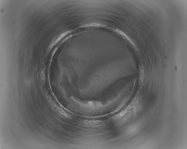 X0000081570921200701151208