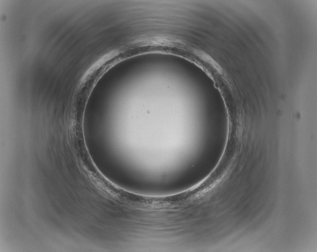 X0000081570922200701151208