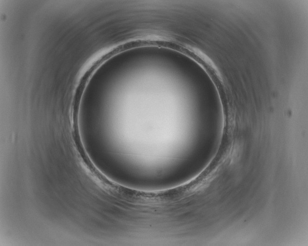 X0000081570935200701151208