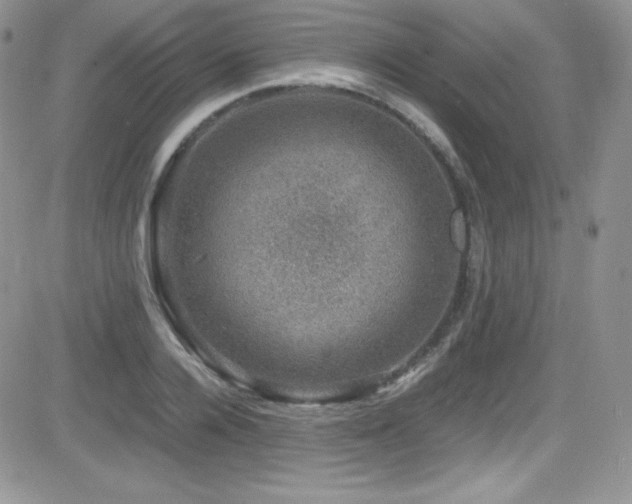 X0000081570936200701151208