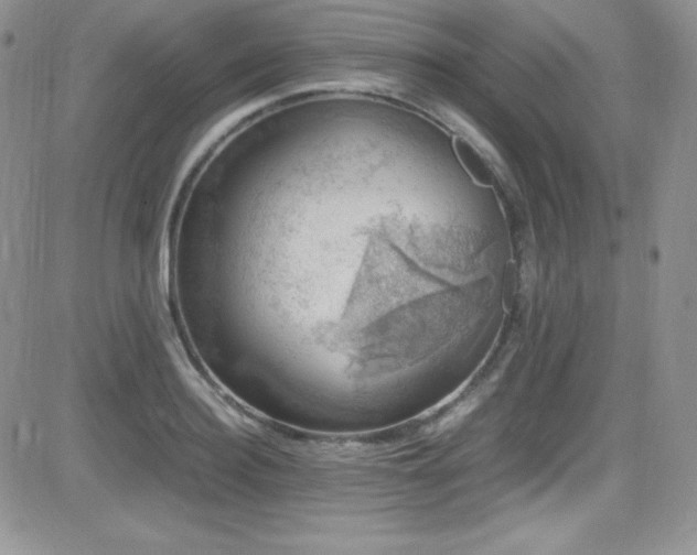 X0000081570940200701151208