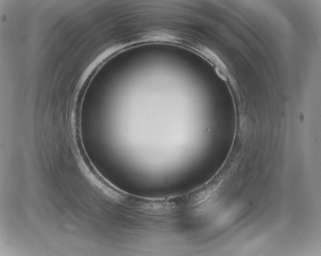 X0000081570947200701151208